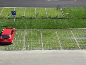 parking_grass