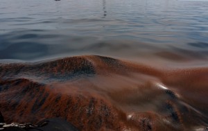 Фото: Reuters В Краснодарском крае нефть попала в Черное море