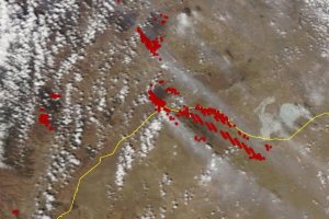 Красными точками показаны очаги возгорания на территории РФ и Монголии Лесной форум Гринпис России