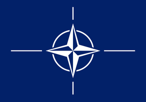Порошенко во Франции анонсировал референдум о вступлении в НАТО