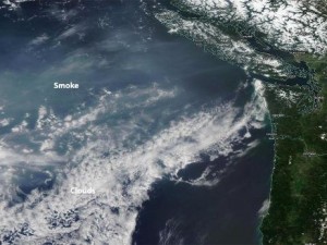  На западном побережье США небо окутано дымом от пожаров в России  Фото: weather.com
